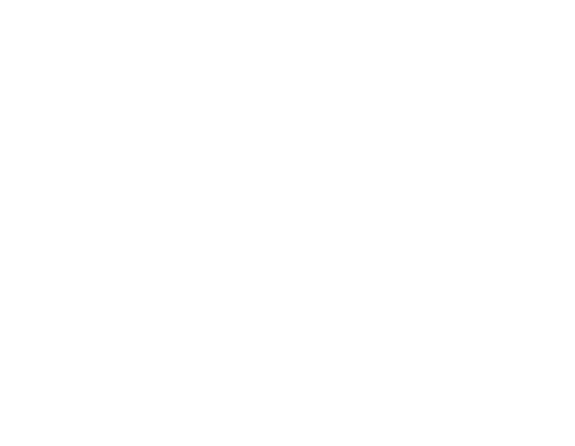 RaiseGate logo